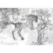 Papier peint panoramique cheval