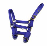 Rhinegold Nylon Veulen Halster - Koningsblauw
