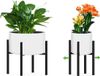 Merkloos Plantenstandaard van metaal - Verstelbaar en zwart - Voor binnen en buiten (instelbare breedte 24-36 cm)