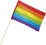 Boland Regenboog Zwaaivlag 30x45cm - 76cm stok