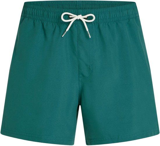O'Neill Beach 15 Zwemshort Heren - Maat XL - Groen/Blauw