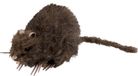 Boland - Decoratie Rat - Horror