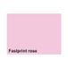Fastprint Kopieerpapier a4 120gr roze 250vel