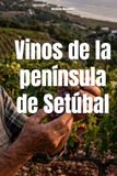 Vinos de la península de Setúbal