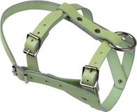 Schapenkop Kerbl Halster Leder - Schaap/bok - Groen