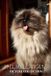 Himalayan Cat Photo Collection