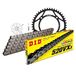 Kettingset DID Kettingset staal 520VX3 / 106 klinknagel slot voor Yamaha XT E 600 cc bj. 1997-2003