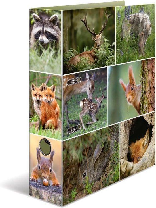 HERMA 7202 Ringband - Karton - Multi kleuren