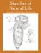 Sketches Libri GmbH Sketches of Natural Life
