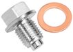 Merkloos Olieafvoerschroef M12 x 1,25 - Magnetische Afdichting - Roestvrij Staal - Olieaftapmoer - Herbruikbaar - Voorkomt Metalen Fragmenten - Olieaftapplug