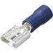 TRU COMPONENTS TC-11894524 Platte stekker (female) Insteekbreedte: 6.3 mm Insteekdikte: 0.8 mm Deels geïsoleerd Blue 1 stuk(s)