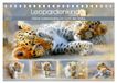 Leopardenkinder. Calvendo Leopardenkinder. Afrikas Katzenbabys im Licht der Natur (Tischkalender 2027 DIN A5 quer)