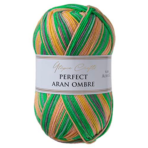 Utopia Crafts Aran Ombre Multicolour Knitting & Crochet Yarn, 300g - 600m (013)