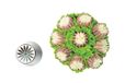 Silikomart Flower Tube 48