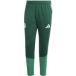ADIDAS PERFORMANCE Sportbroek 'Algerien 26' groen / spar / wit