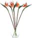 Bellatio Design Fleur artificielle Strelitzia - 5x - 58 cm