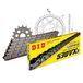 Kettingset DID Kettingset staal 530VX3 / 100 eindeloos voor Kawasaki Z 550 cc bj. 1981-1982