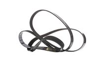 Metzger 6PK1915 Dayco V-riem
