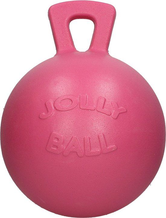 Jolly Pets Jolly Ball - Ø 25 cm - Paard & Hond - Roze - Bubblegumgeur - Bijtbestendig