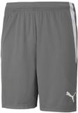 Puma Teamliga Short Heren - Grijs | Maat: XXL