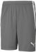 Puma Teamliga Short Heren - Grijs | Maat: XXL
