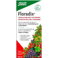 Floradix IJzer-Elixer Met Vitamines (250ml)