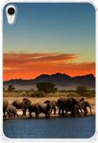 B2Ctelecom Apple iPad mini 6 (2021) Back Case Olifanten