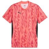 PUMA Individuele Finale Ff. Jersey uniseks-volwassene Voetbal Shirt