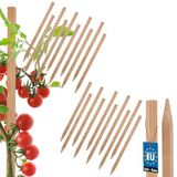 MK TRADING Michał Kotarba KOTARBAU Serie - Houten Plantenstokken - 25 CM - Ondersteuning Voor Planten - Weerbestendig