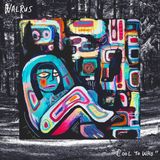 Cool Walrus Cool To Who