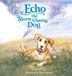 Echo the Storm Chasing Dog