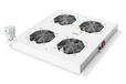 Digitus DN-19 FAN-4-N - Gris