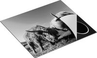 Chefcare Inductie Beschermer Twee Schotse Hooglanders - Zwart Wit - 57,6x51,6 cm