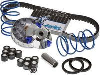 Polini Kit Variateur complet pour scooter Piaggio Vespa Primavera 50 241.672.2