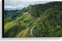 Merkloos / Sans marque Canvas Bergen Weg Bomen 60x40 cm Foto op Canvas Schilderij