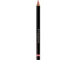 Stendhal Precision Lip Liner 302 Bois De Rose - 1.14g
