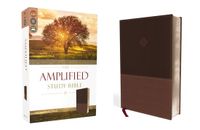 Amplified Zondervan Amplified Study Bible, Imitation Leather, Brown