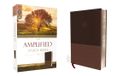 Amplified Zondervan Amplified Study Bible, Imitation Leather, Brown
