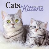 The Gifted Stationary Katten & Kittens Kalender 2027