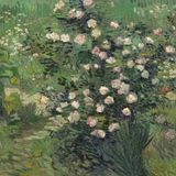 Tushita van Gogh - From Vincent's Garden Kalender 2027