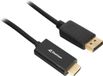 Sharkoon HDMI naar DisplayPort Kabel - 1m - 4K - Zwart