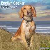 Avonside Engelse Cocker Spaniel Kalender 2027 Wandkalender