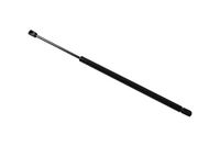 TarosTrade 229-0282-N-75328 gasveer voor achterklep na 2004