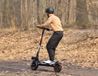 Urbanglide Trottinette électrique ECROSS ONE 800 W Noir 25 km/h