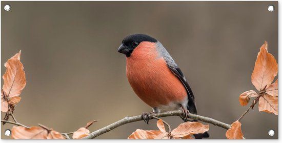 GreatGardenPosters Tuinposter Vogel Takken Bladeren Herfst Oranje 80x40 cm - Tuindecoratie
