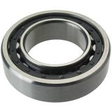 FAG NU2311-E-XL-TVP2-C3 55x120x43mm