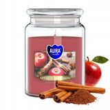 Aegis Grote Geurkaars Glas 100u Appel Kaneel 500g - Lang Brandend
