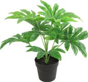 Countryfield Kunstplant Fatsia plant in bloempot - Groen - 15 x 32 cm