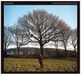 A Jim Ghedi - A Hymn For Ancient Land