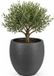 EDA Bloempot / plantenpot Graphit - rond - kunststof - antraciet - D50 x H45 cm - dubbelwandig - buiten